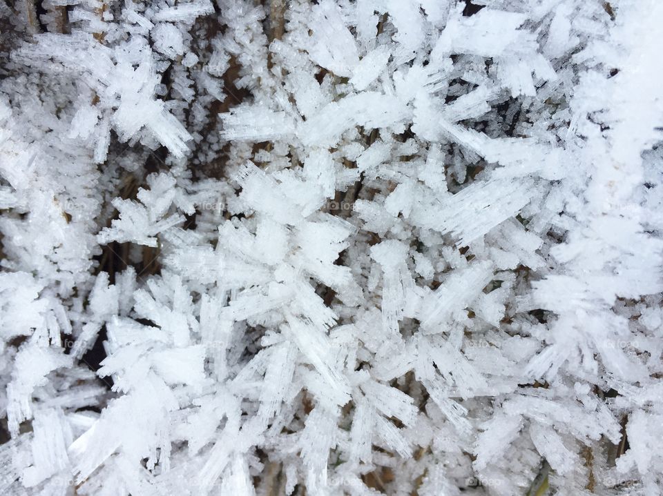 Close up of frozen snow