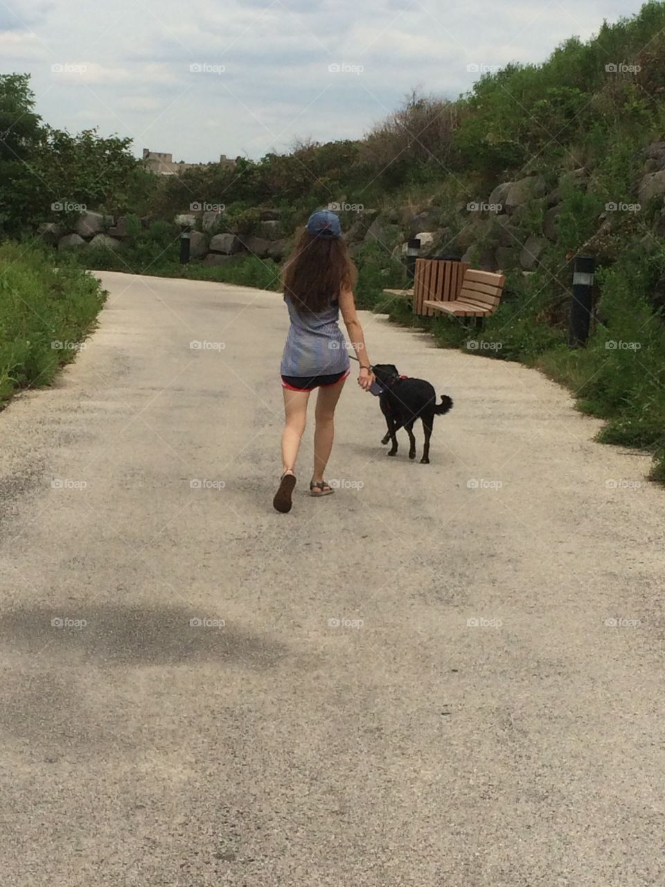 Back of long haired girl walking dog on path