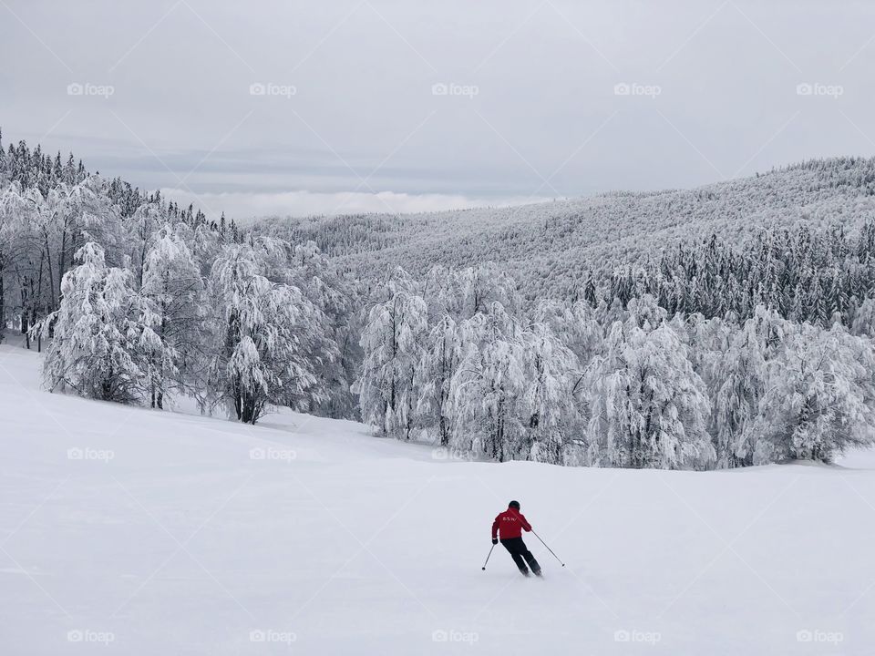 Skiing