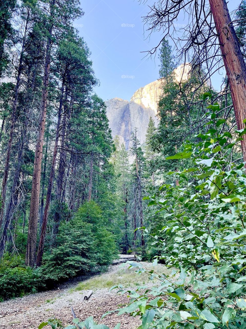 Majestic trail in Yosemite National Park