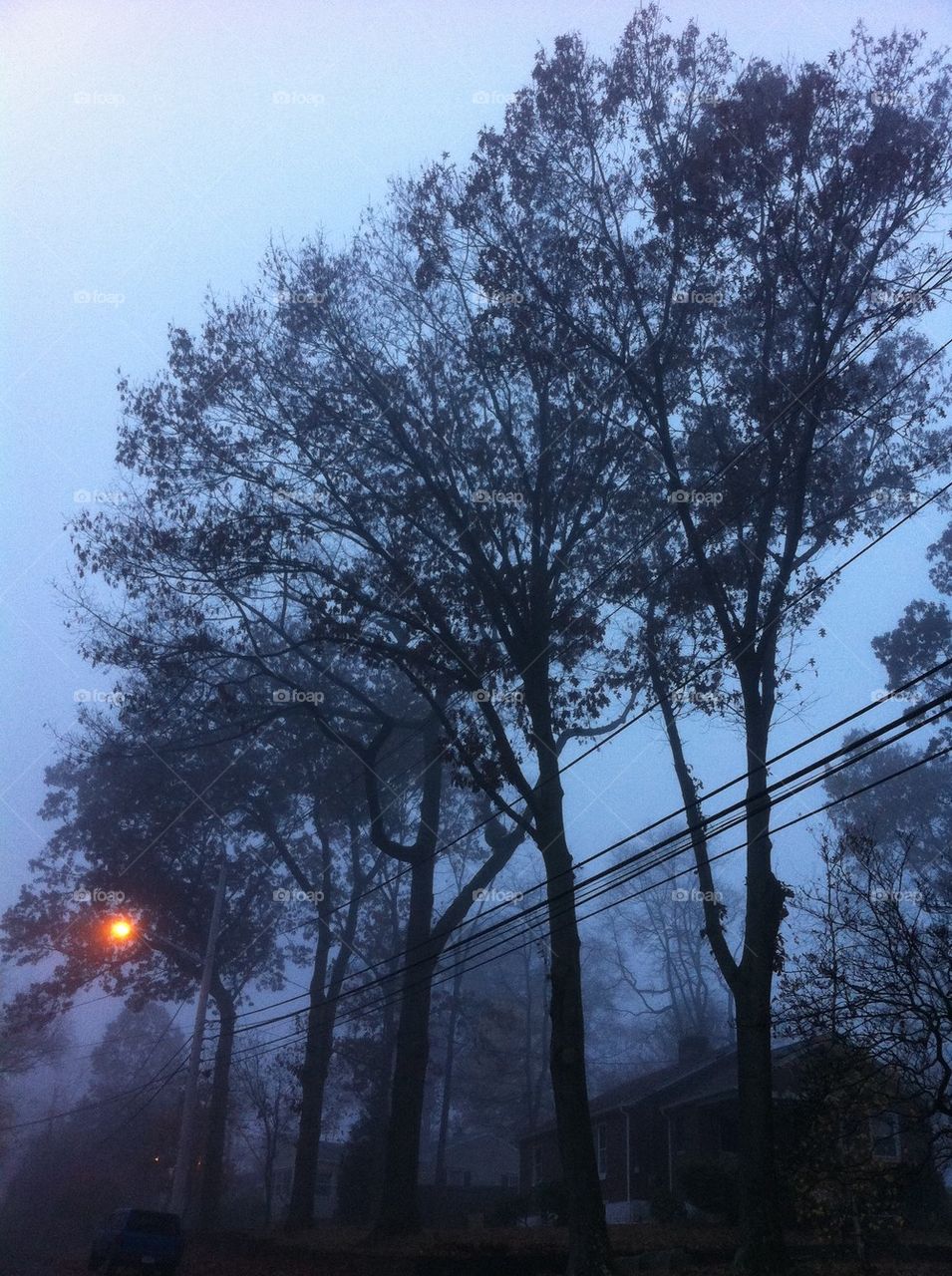 Foggy morning...