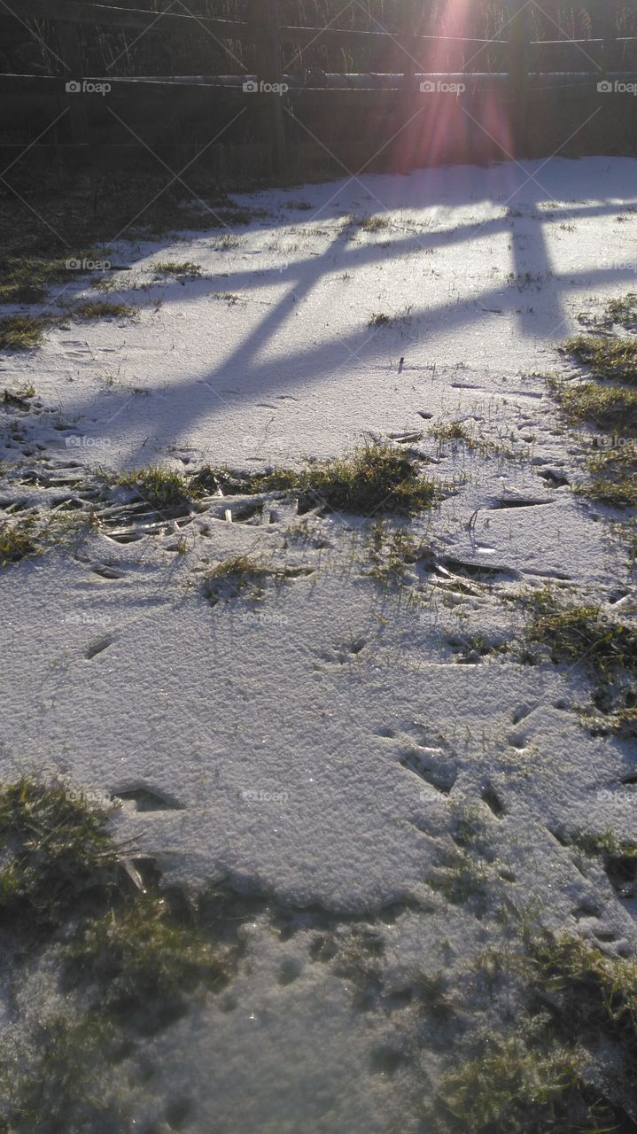 frozen puddle in county Durham