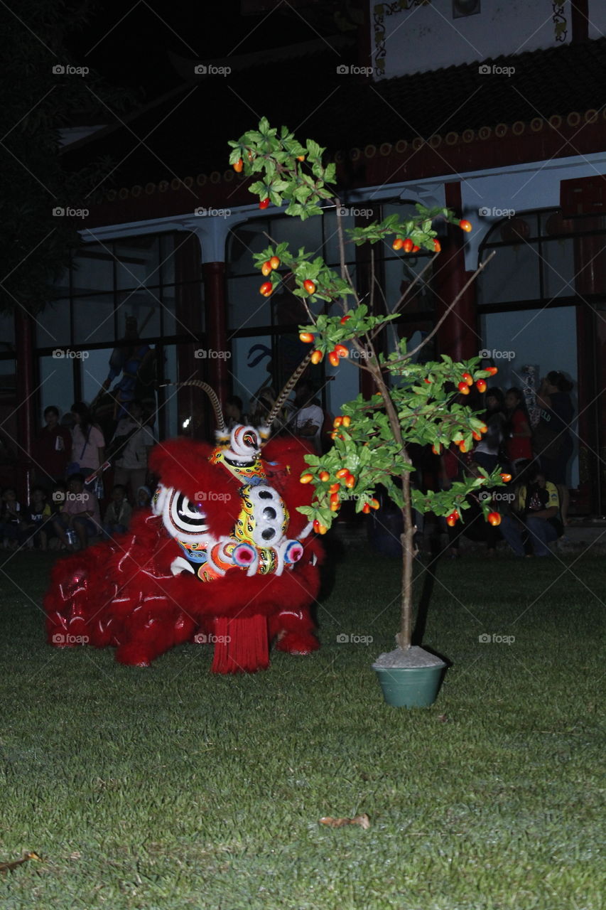 the red lion dance in action