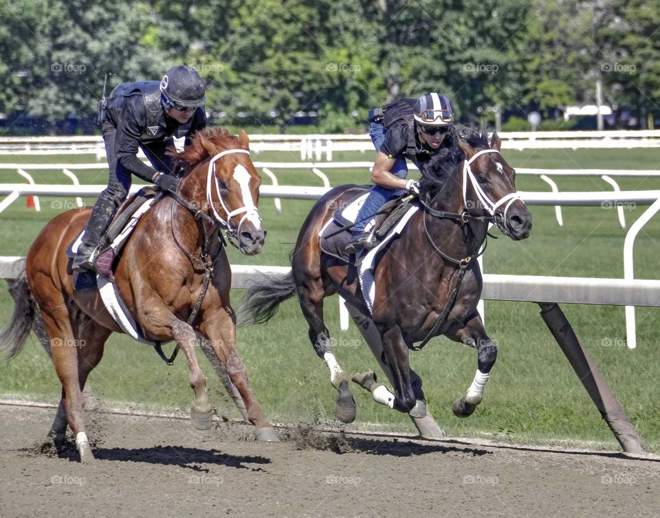 Great Horse Racing Photos from Zazzle.com/fleetphoto