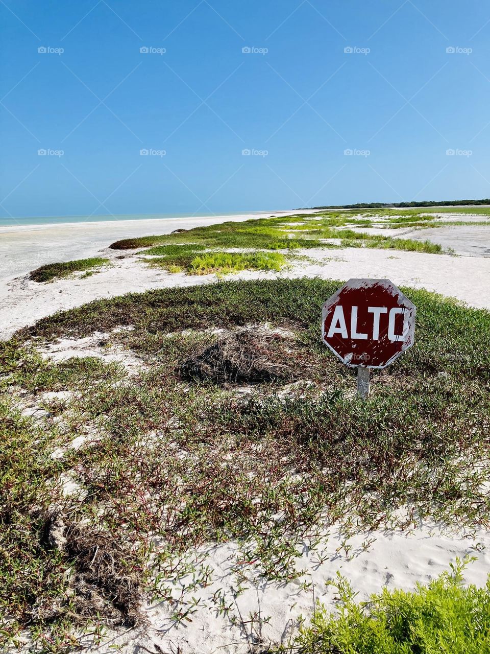 Punta Mosquito Nature Reserve, Holbox, Quinta Roo, Mexico.