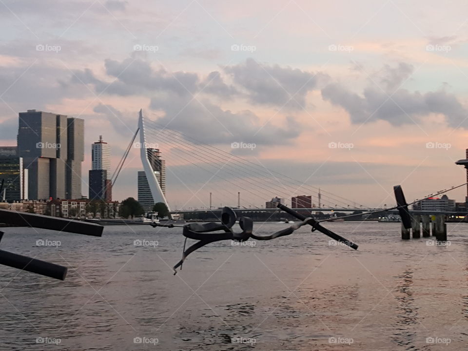 evening Rotterdam