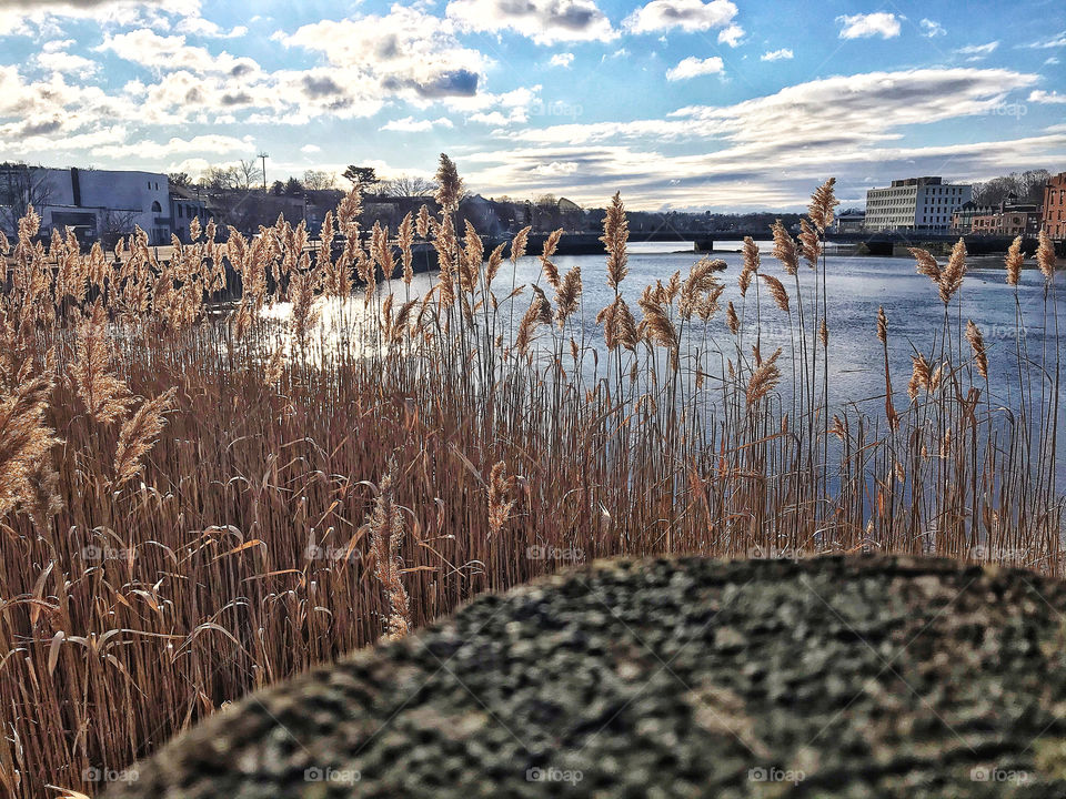 Saugatuck River, Westport CT on New Year’s Day 