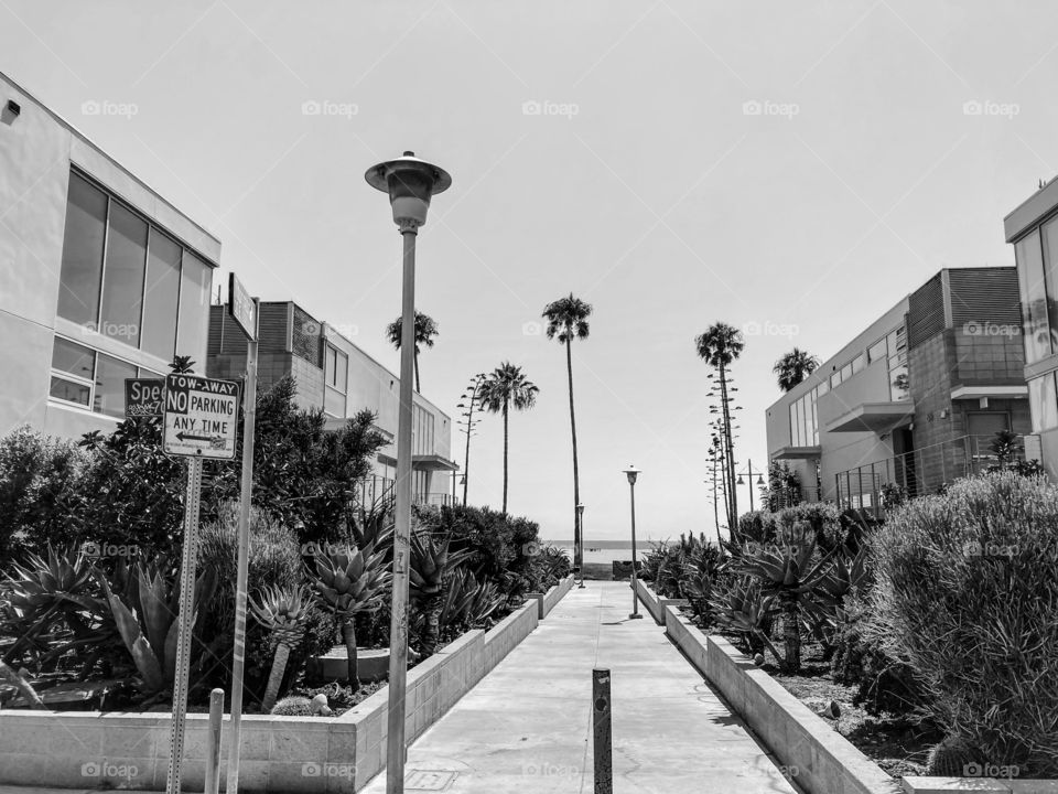 Black and white ocean scene