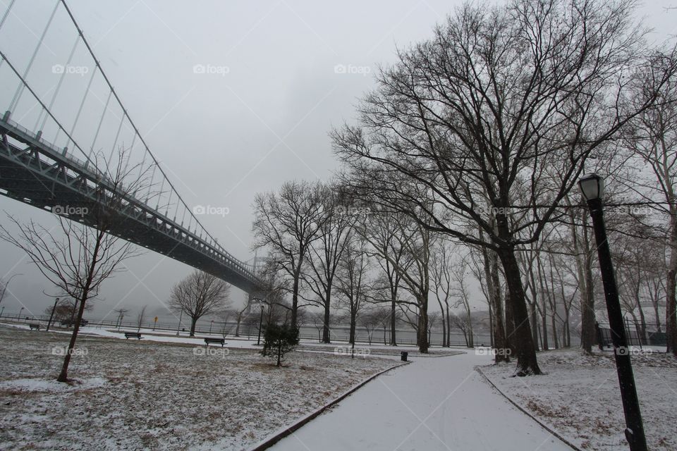 Winter, No Person, Tree, Road, Snow