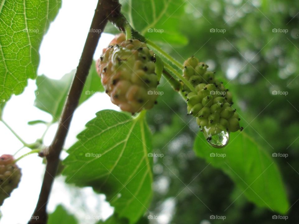 Taking in the nature
