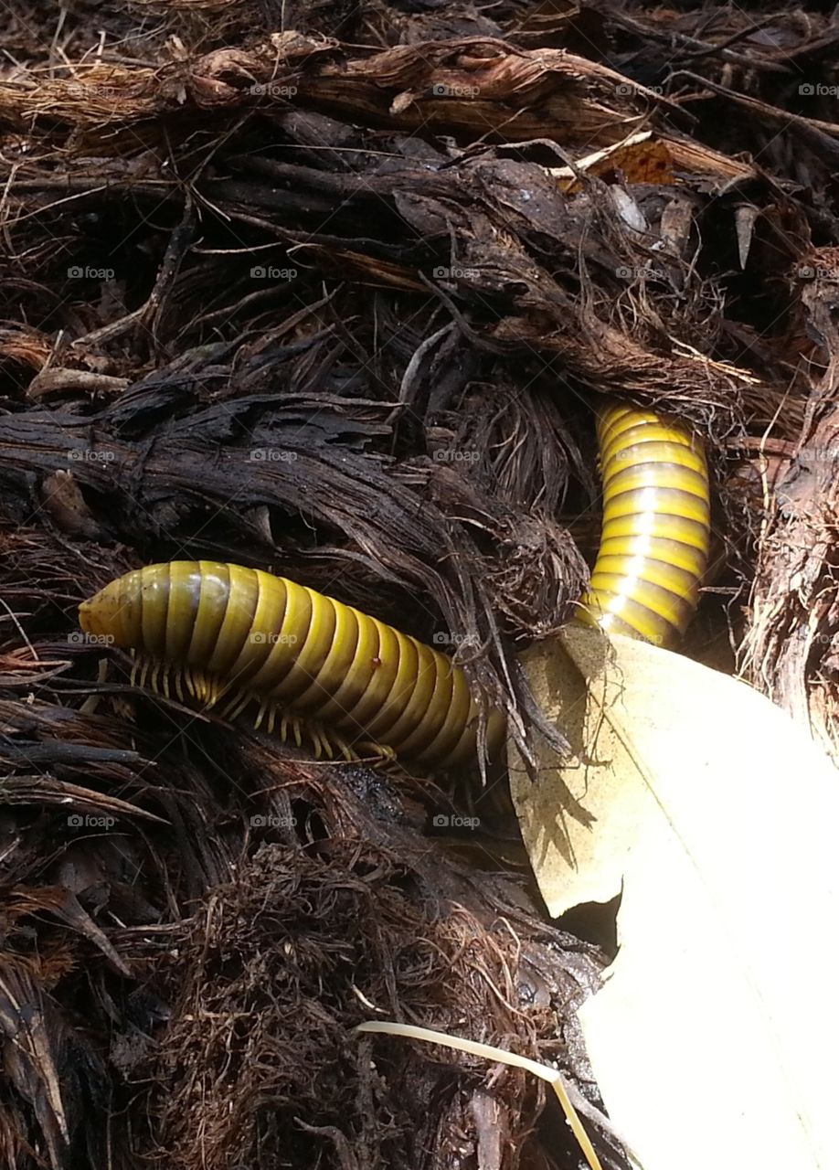 looking for cold place