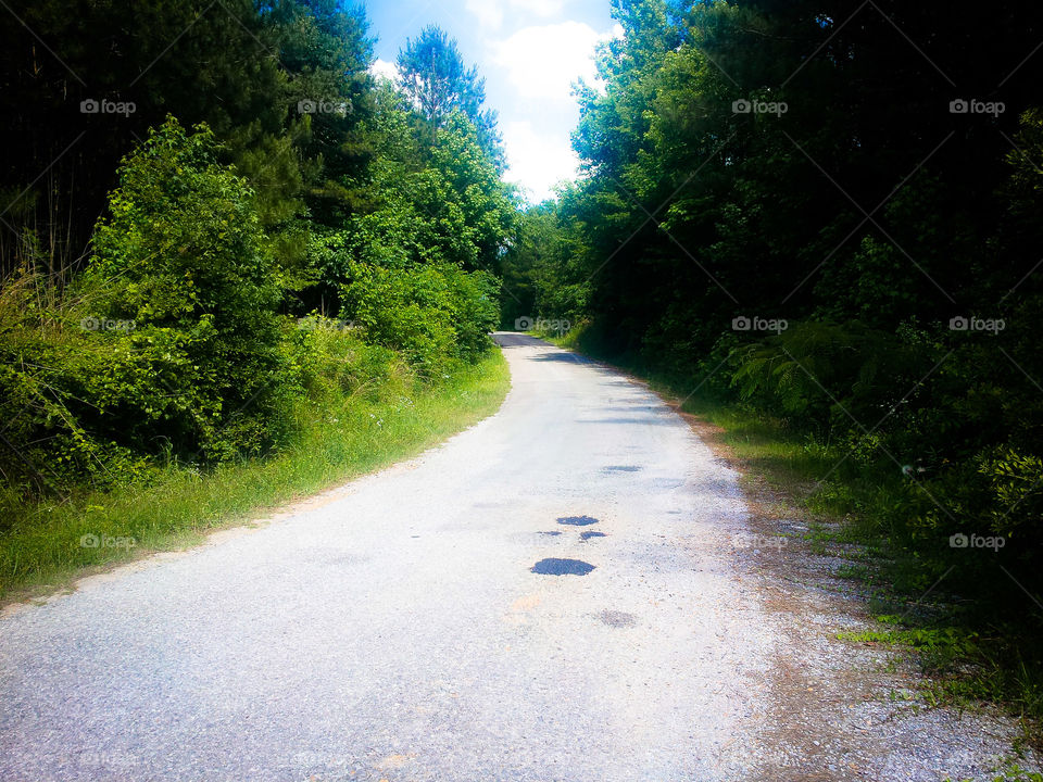 A path in the Countryside. A path in the countryside.