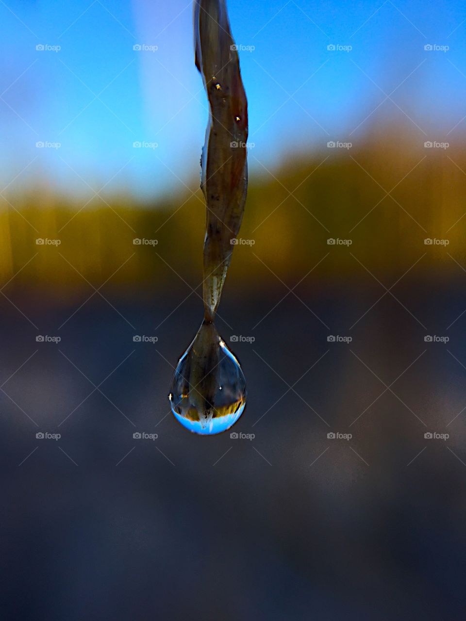 A drop of water 