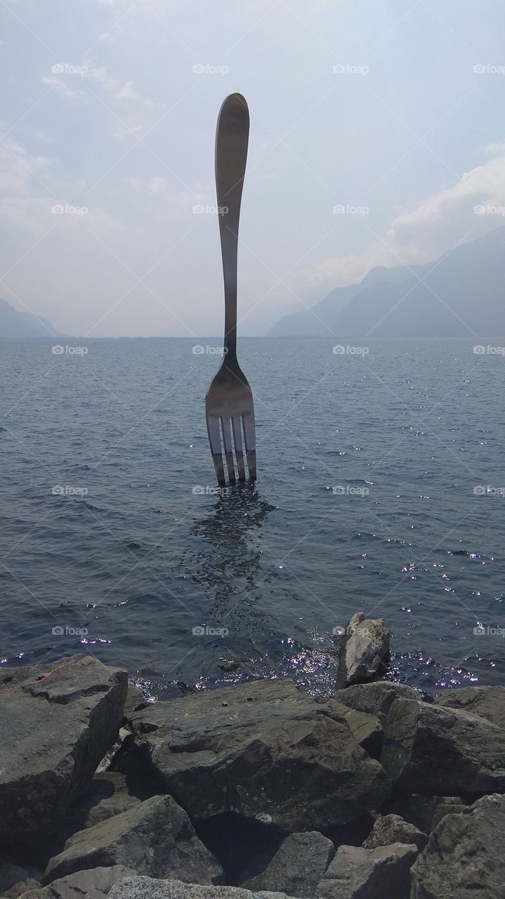 A fork in a lake