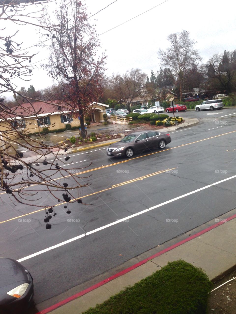 Gloomy Rainy Storm Weather

Published by:
HappyBrownMonkey 