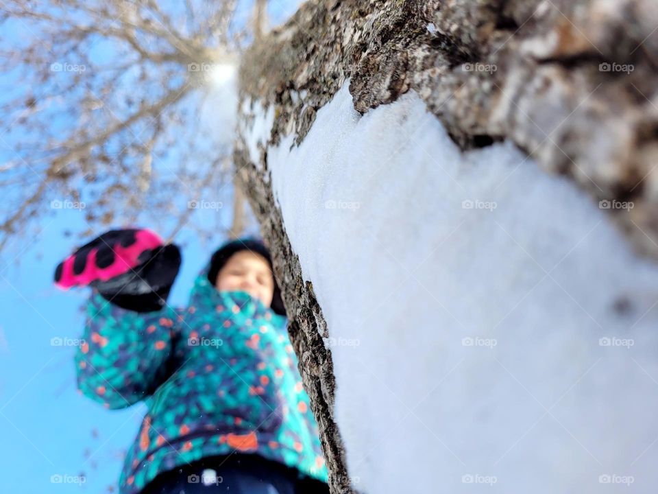 the roots of connection with nature