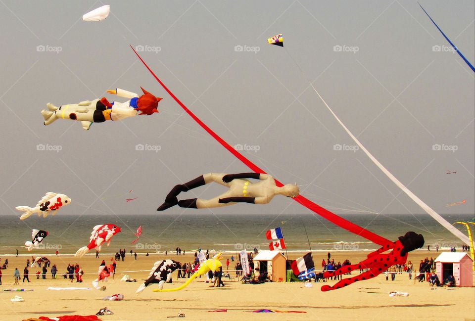 Berck kite competition