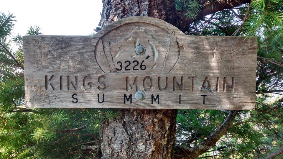 kings Mt.. what a hike straight up for 2.5 miles