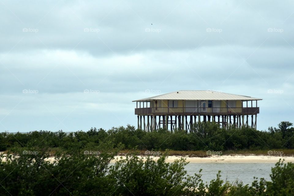 House on Stilts 