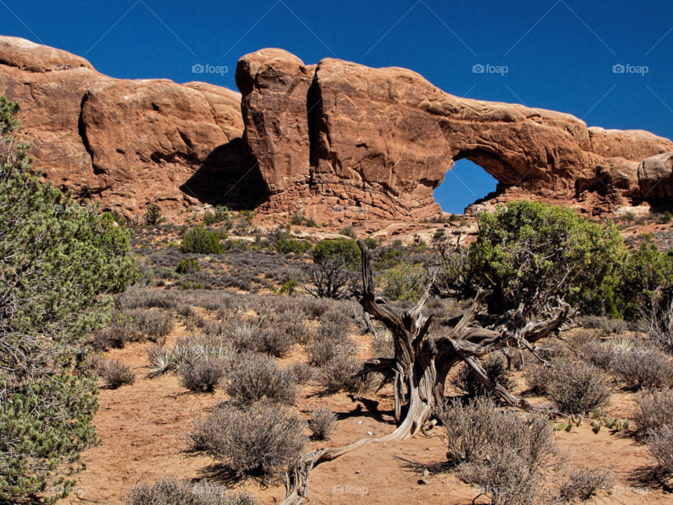 wood scenic rock arch by landon