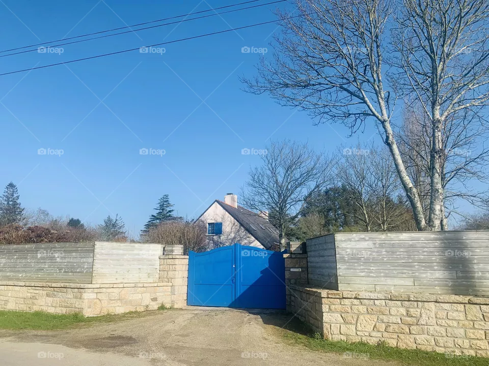 Blue House