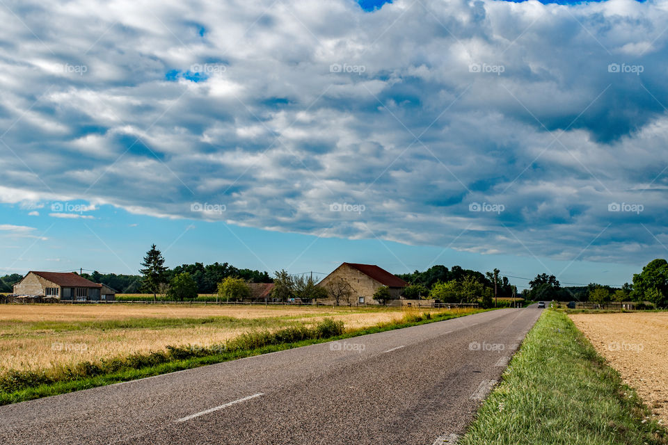 Traveling by car. The road in the countryside.