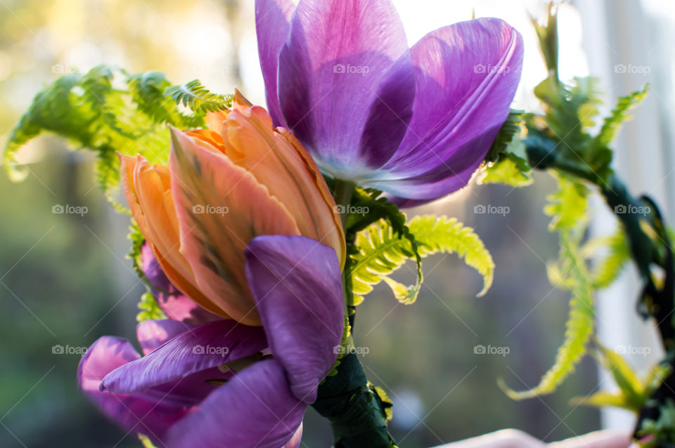 Summer and springtime celebration Fresh flower garland crown with beautiful tulips closeup detail in streaming golden hour sunshine floral design art photography background image 
