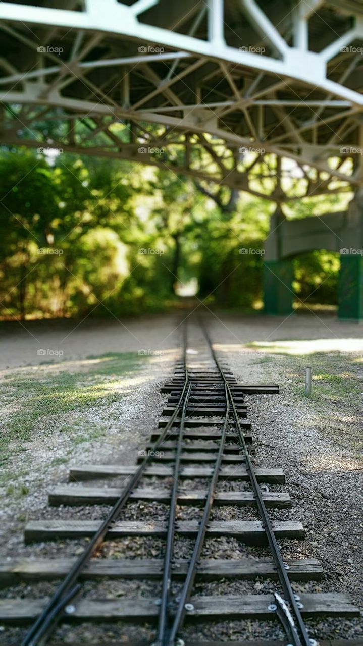 Train Tracks Into the Woods. A little train runs through Trinity Park in Fort Worth.