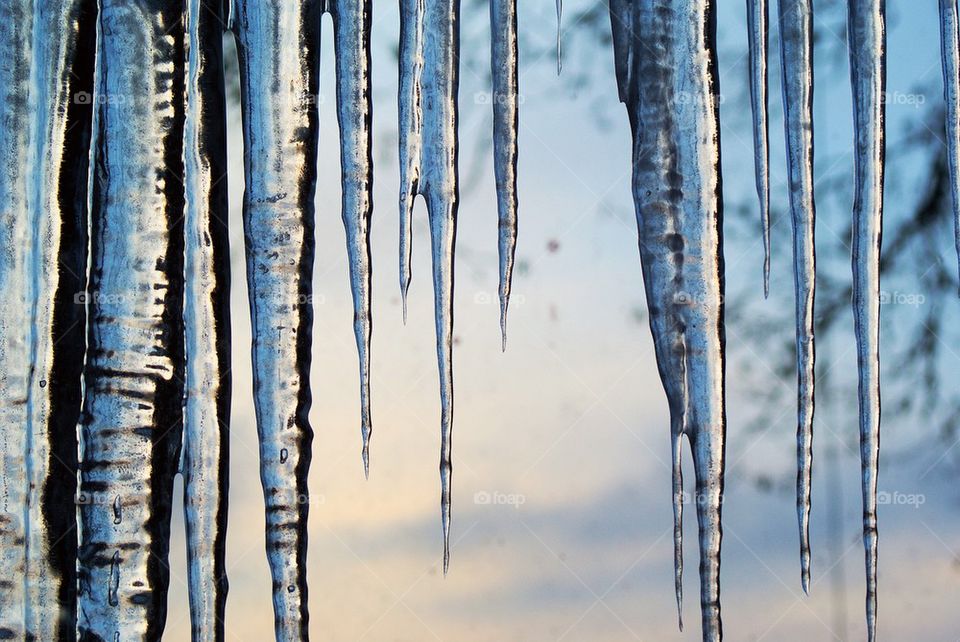 Close-up of icicles