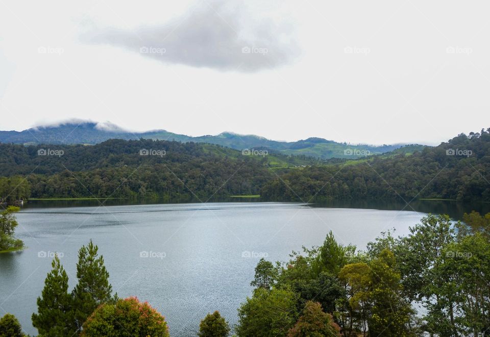 morning view in the lake