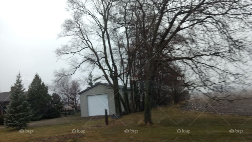 Tree, Landscape, Wood, No Person, Nature