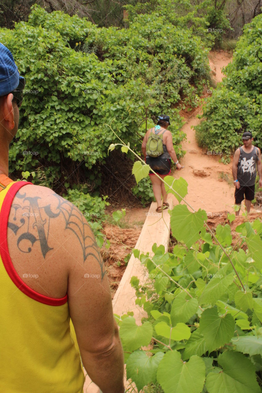 one of many obstacles our group encountered while trekking through the Grand Canyon