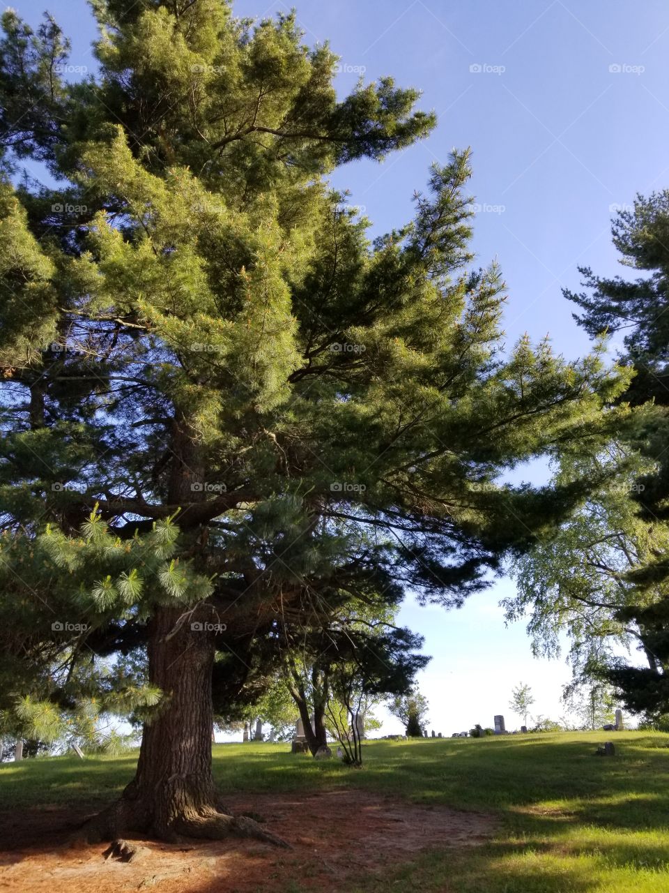 Old Cemetery on a Hill