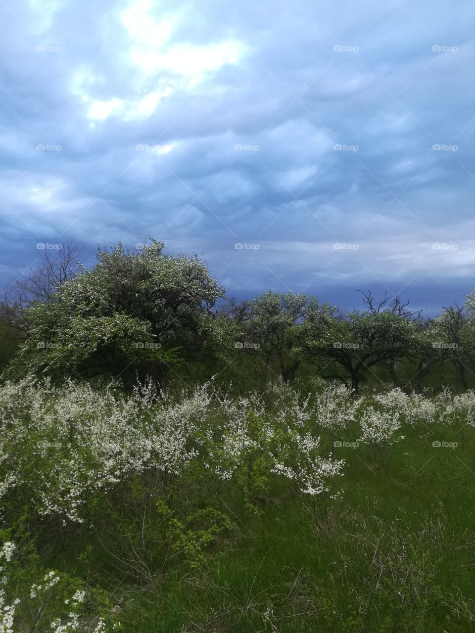 Sky and earth