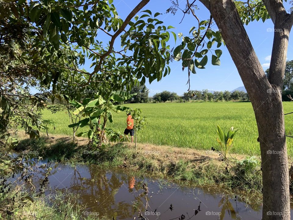 Something about January,Garden owner (Countryside)