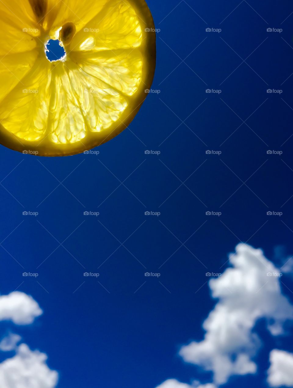 Sunshine lemon slice