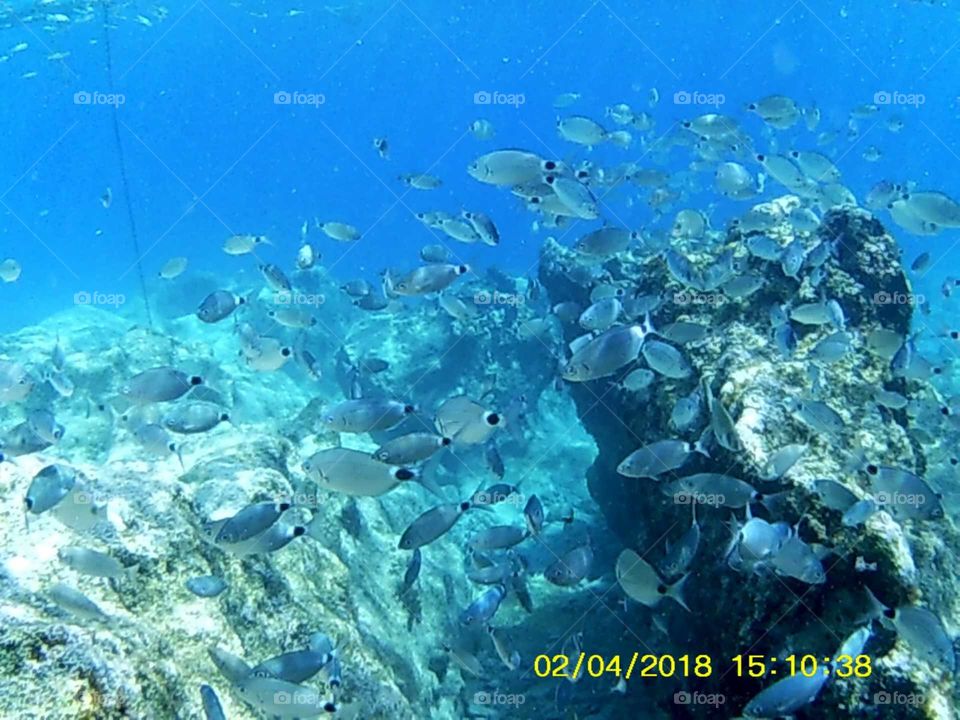 undersea of kas Turkey