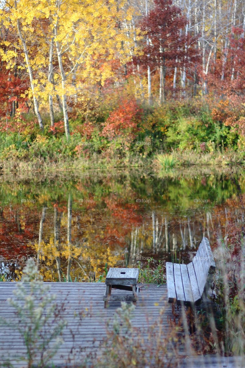 Park bench at lakeside during fall!