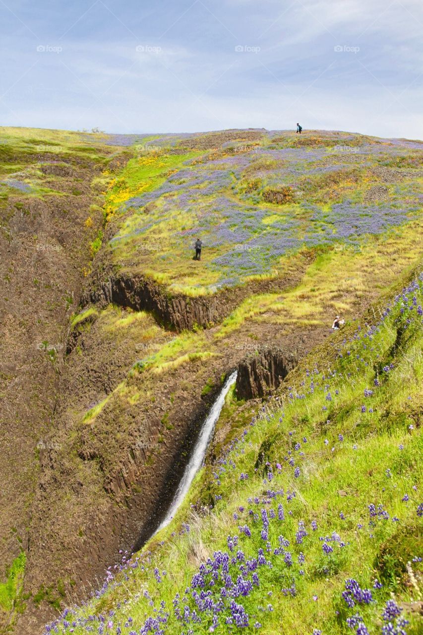 Landscape, Nature, No Person, Grass, Outdoors