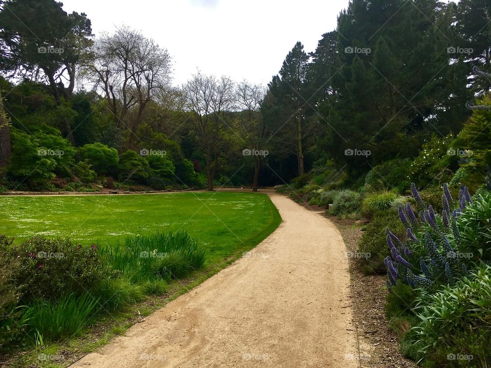 This serene park within San Francisco’s Golden Gate Park features lots of flora and fauna, including those gorgeous purple flowers to the right.