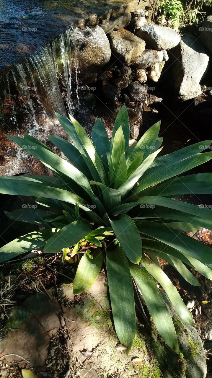 🇬‌🇪‌🇳‌🇹‌🇪‌ 
🇵‌🇴‌🇷‌ 
🇫‌🇦‌🇻‌🇴‌🇷‌  🇲‌🇪‌ 
🇸‌🇪‌🇬‌🇺‌‌🇪‌ ‌ ‌‌
BOOORAAA LÁ❗❗👍
nilsenedson@gmail.com 
de Pomerode-SC