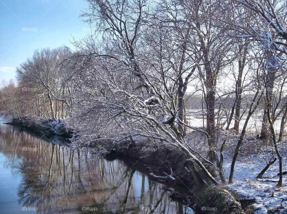 Creek in winter