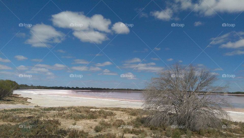 Pink Lake