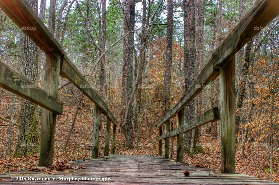 the gateway to happiness . a little bridge on a walking path in a Tennessee State park.