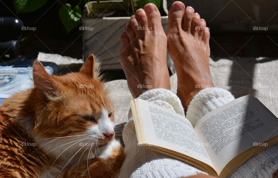 relaxing time my lovely ginger cat and book reading female legs view