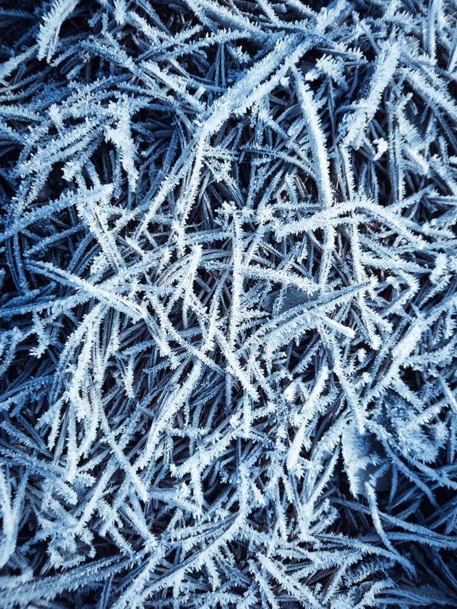 Frost