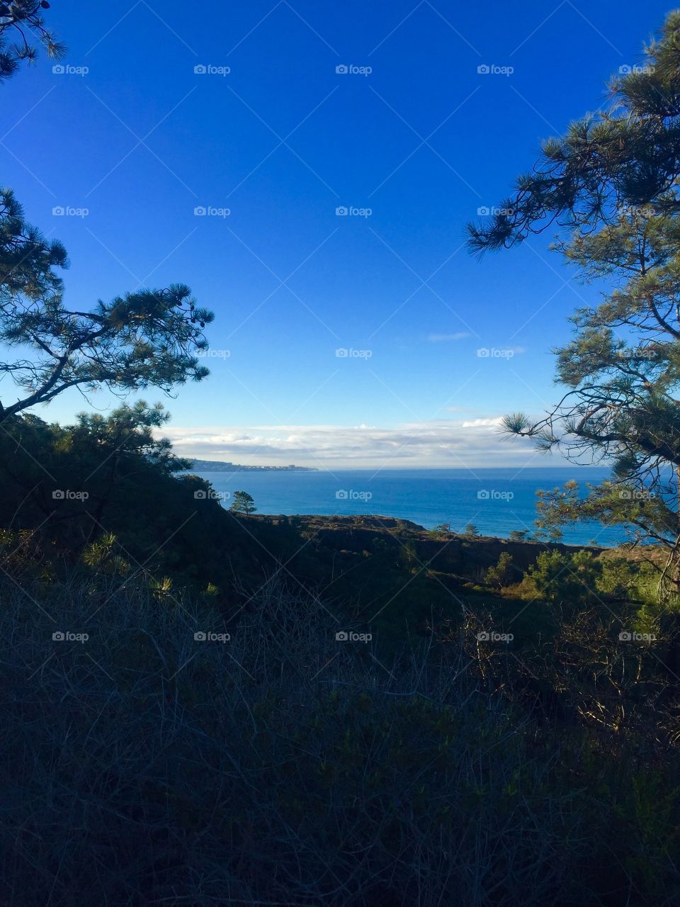 Torrey Pines Reserve