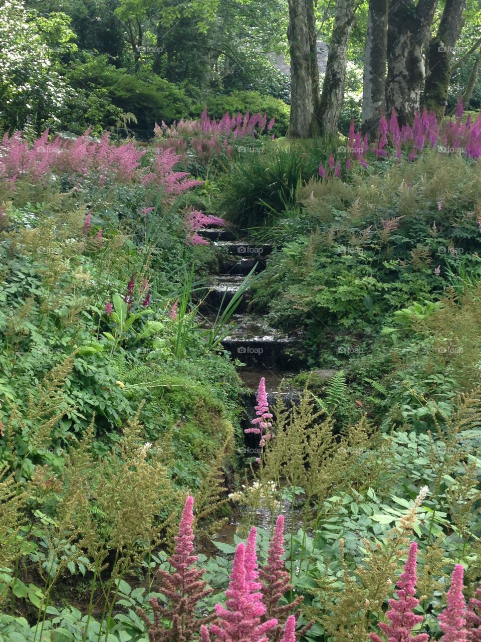 Gardens at Lanhydrock