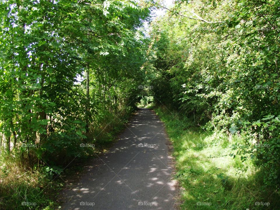 cycleway