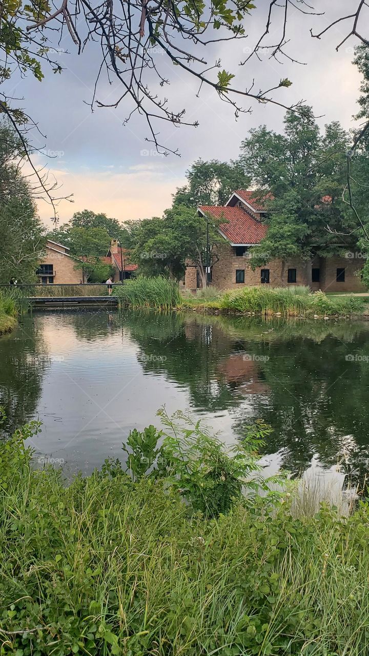 lake and bridge in front of student resident buildings